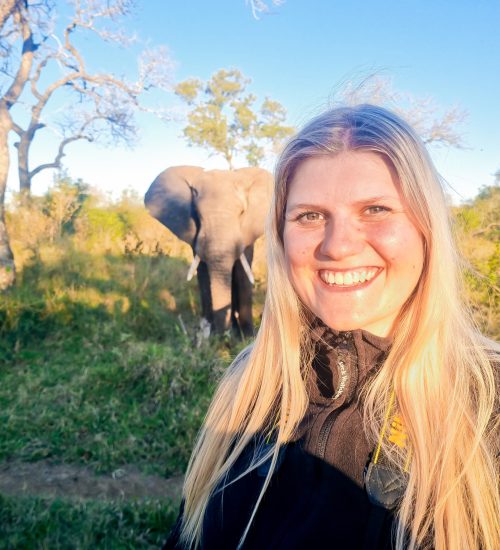 Safari trip, Zuid-afrika